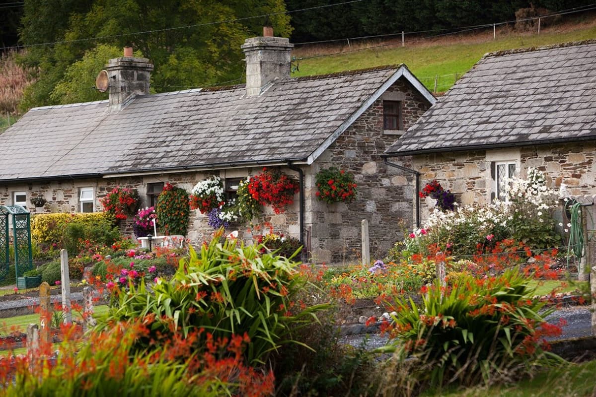 Cheshire Ireland